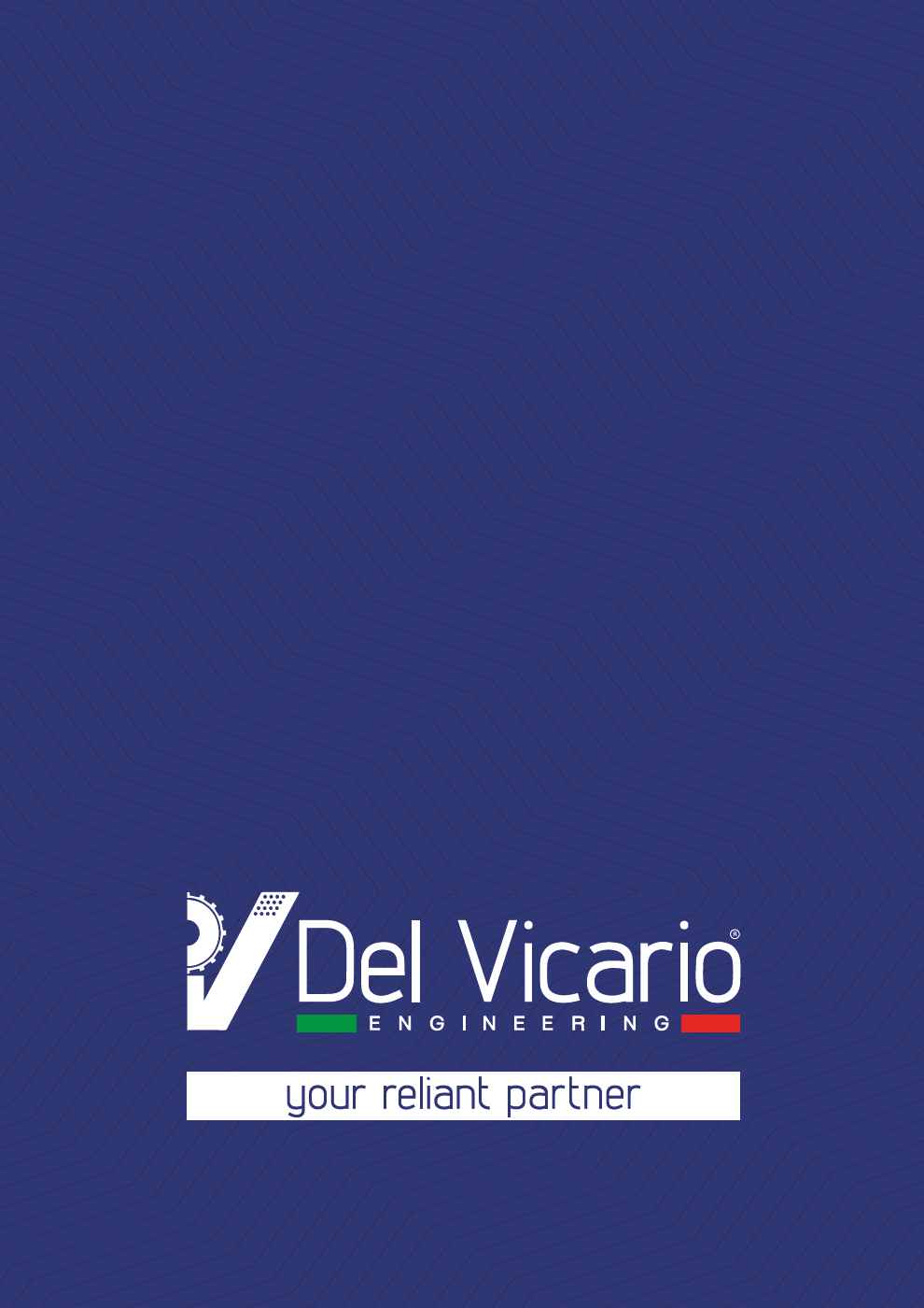 Brochure Del Vicario