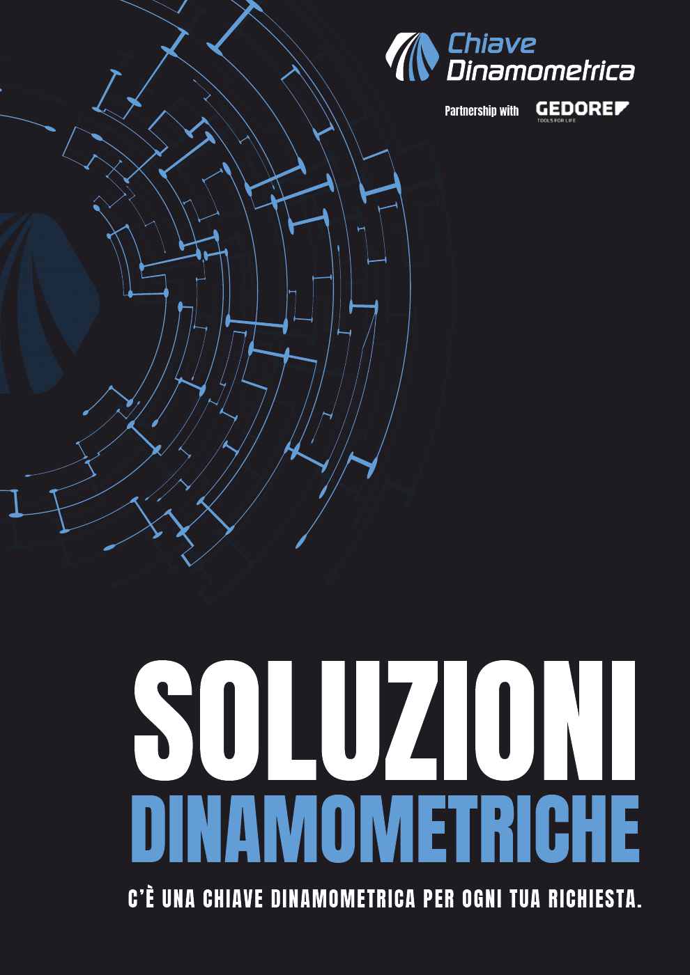 Soluzioni Dinamometriche
