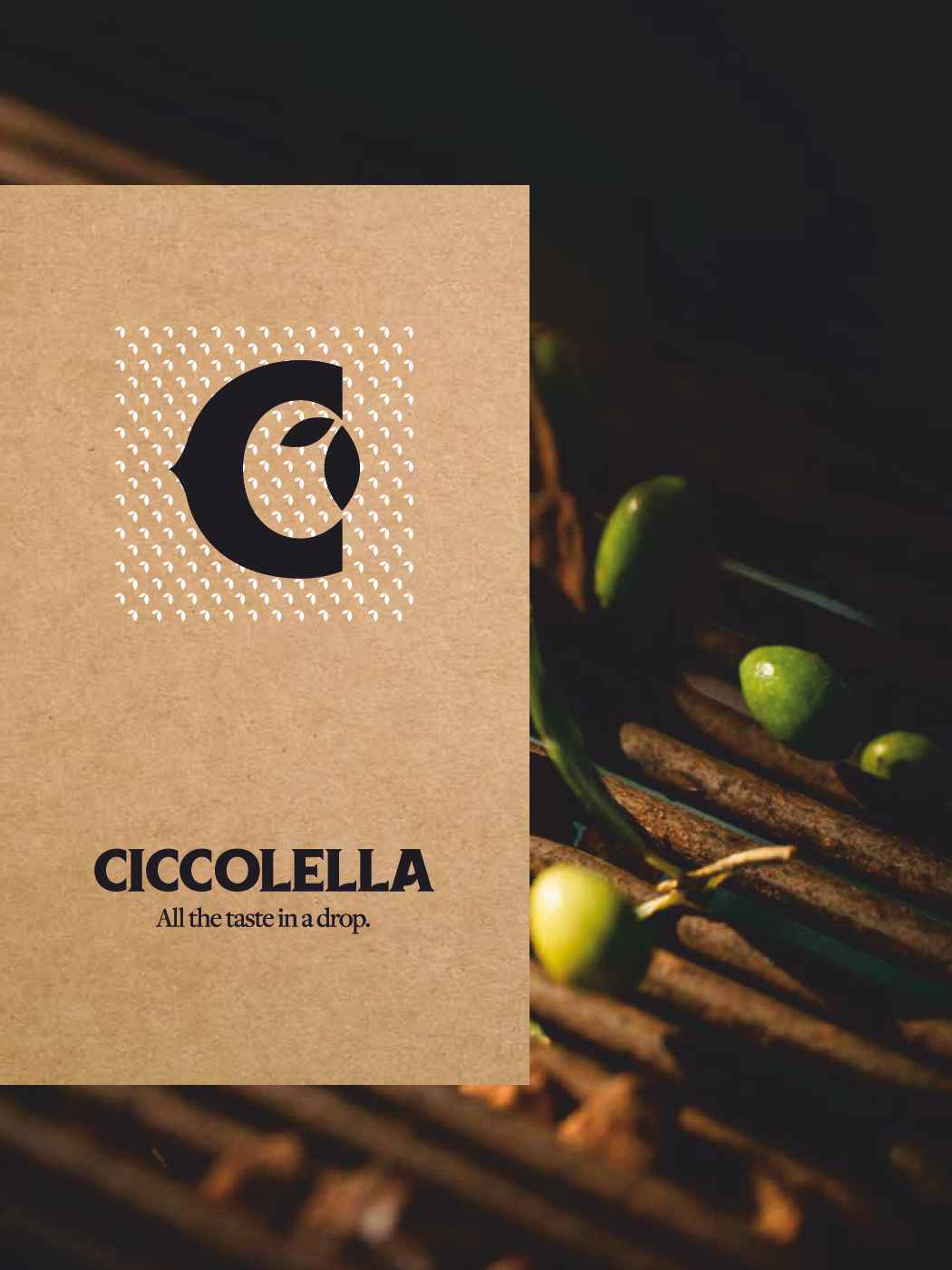 Brochure Prodotti 2025/2026