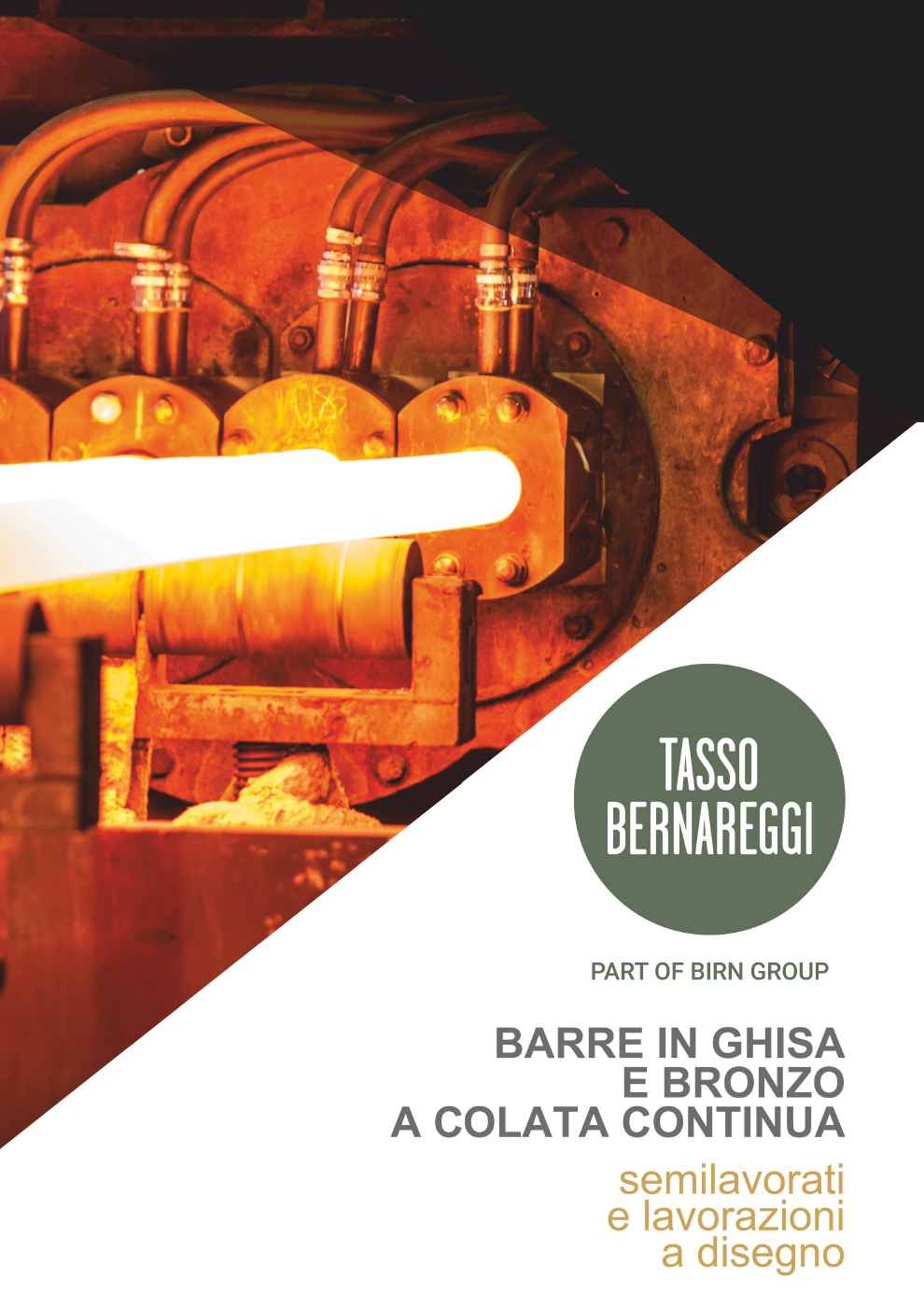 BERNAREGGI SRL A SOCIO UNICO