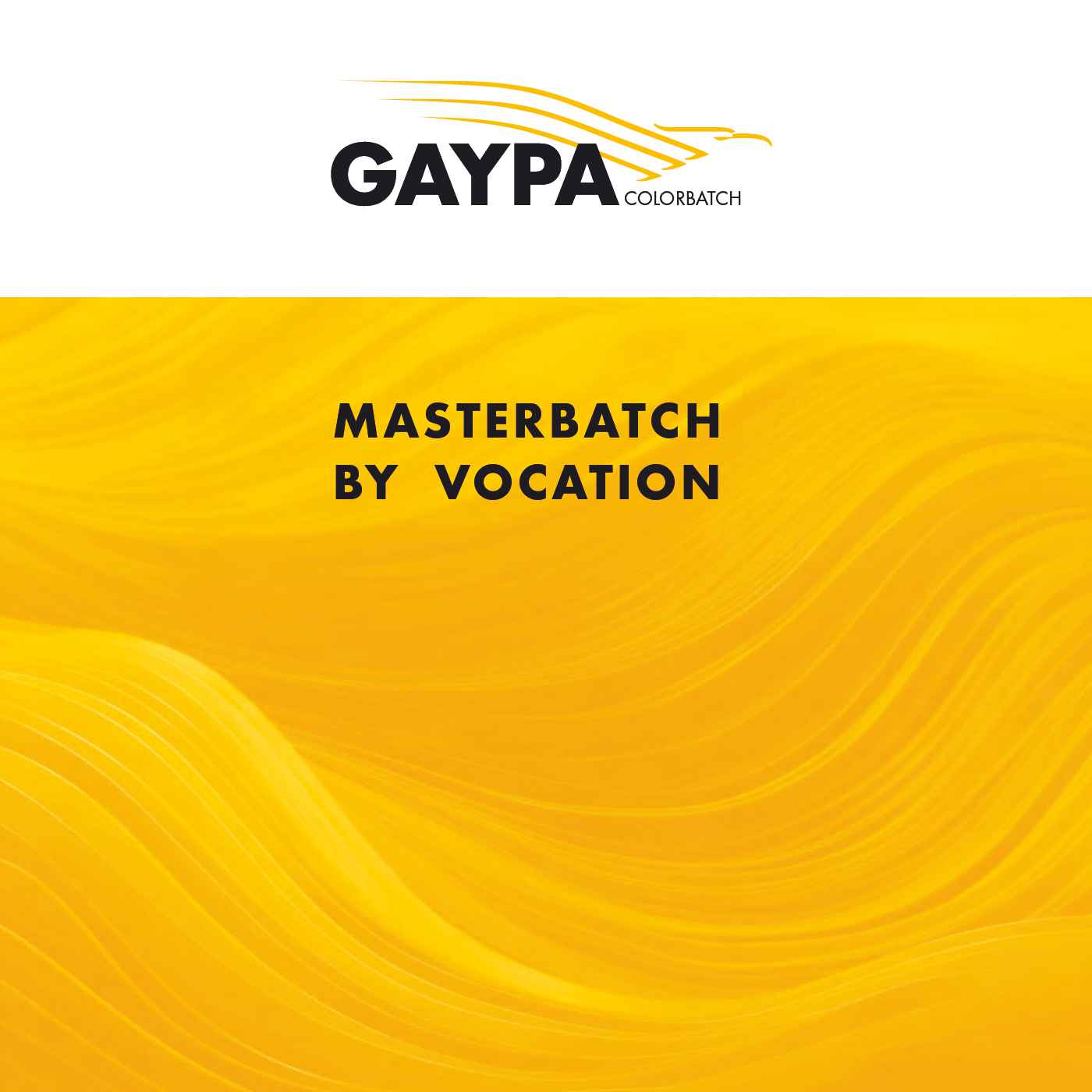 Gaypa srl Company Profile