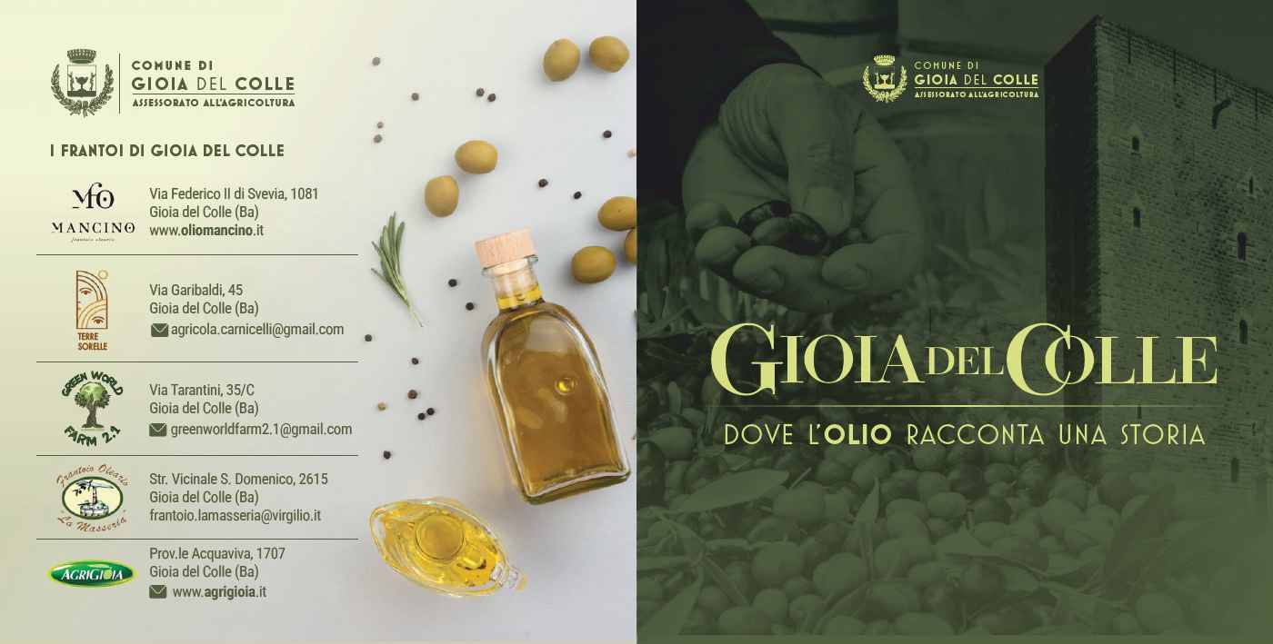 Gioia del Colle: dove l'olio racconta una storia