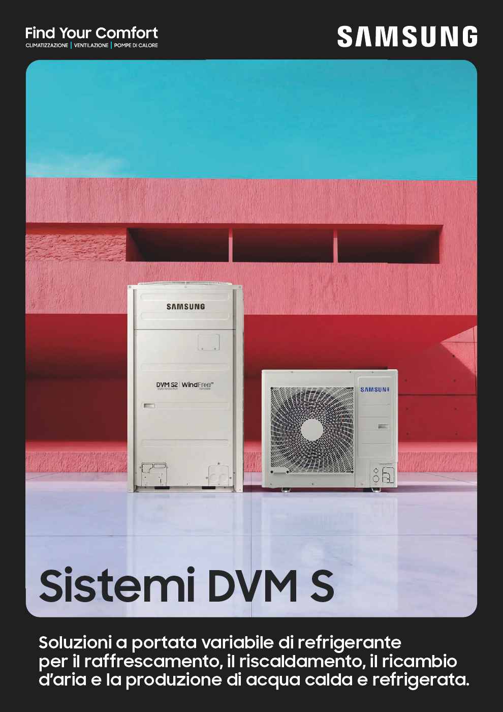 DVM S