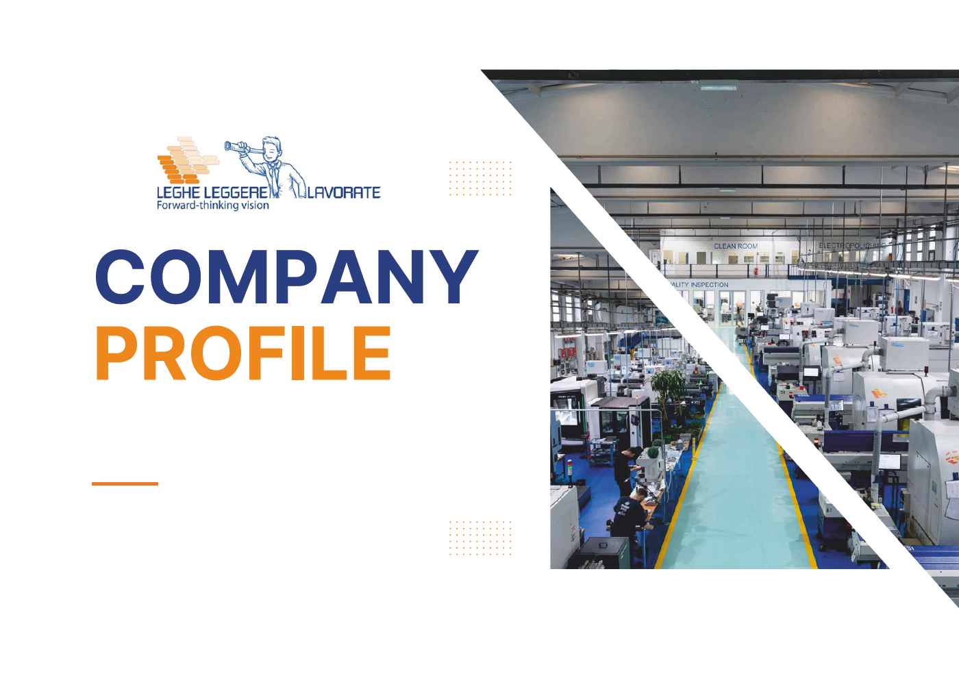 Company profile