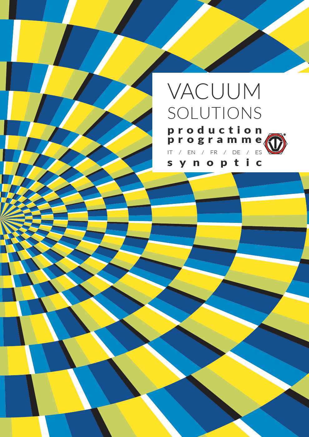 VACUUM SOLUTIONS _ Production Programme Synoptic