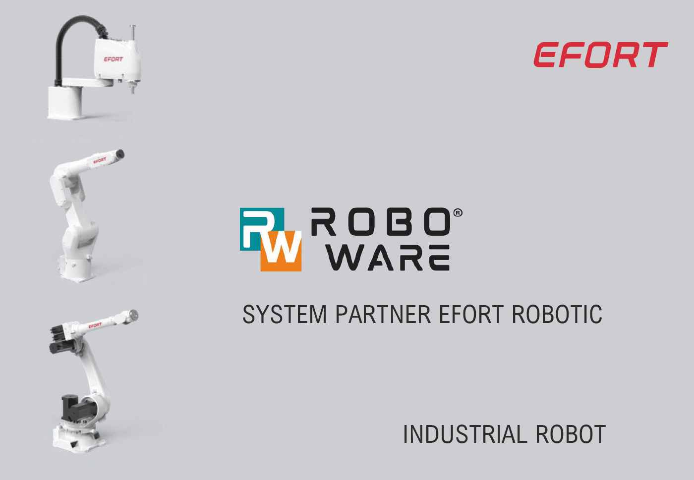 Robot Industriali EFORT