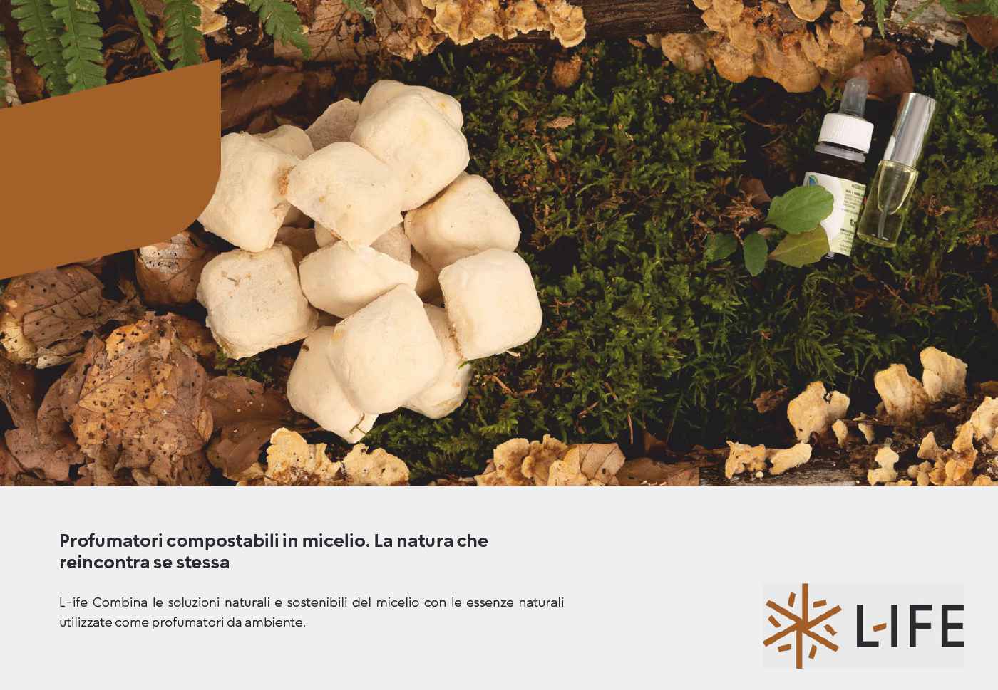 Profumatori compostabili in Micelio