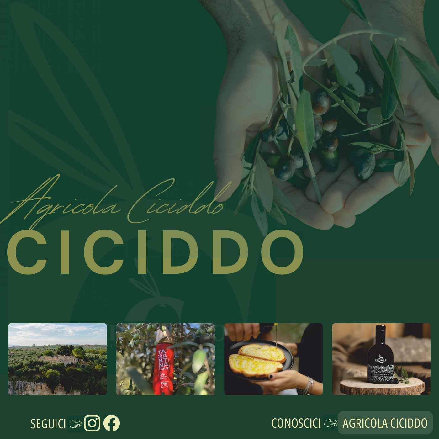 OLIO AGRICOLA CICIDDO