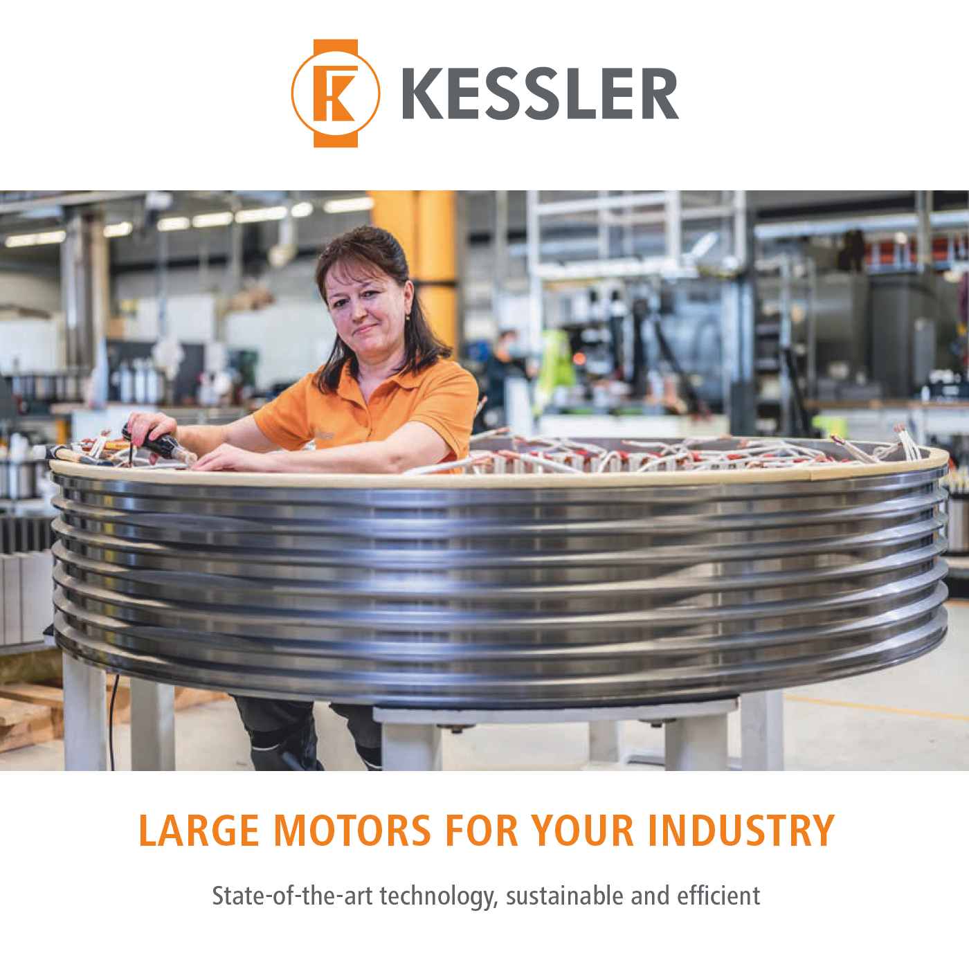 Large Motors for your industry