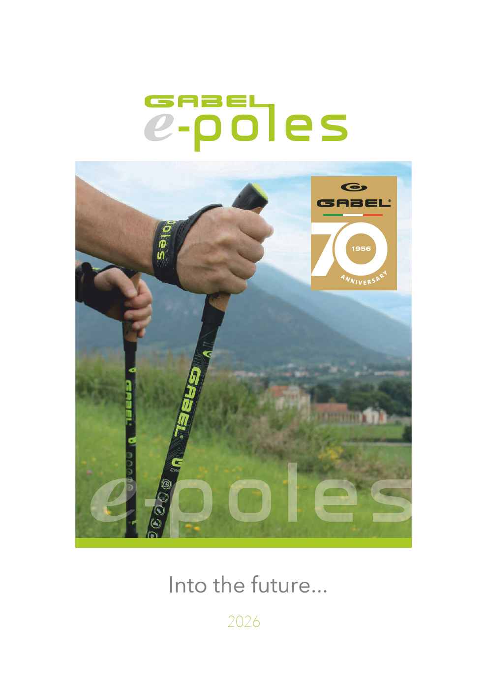 E-poles G1